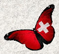 Schmetterling35