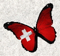 Schmetterling21