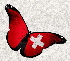 Schmetterling32